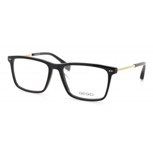 Oxford 2153 Optical Frame
